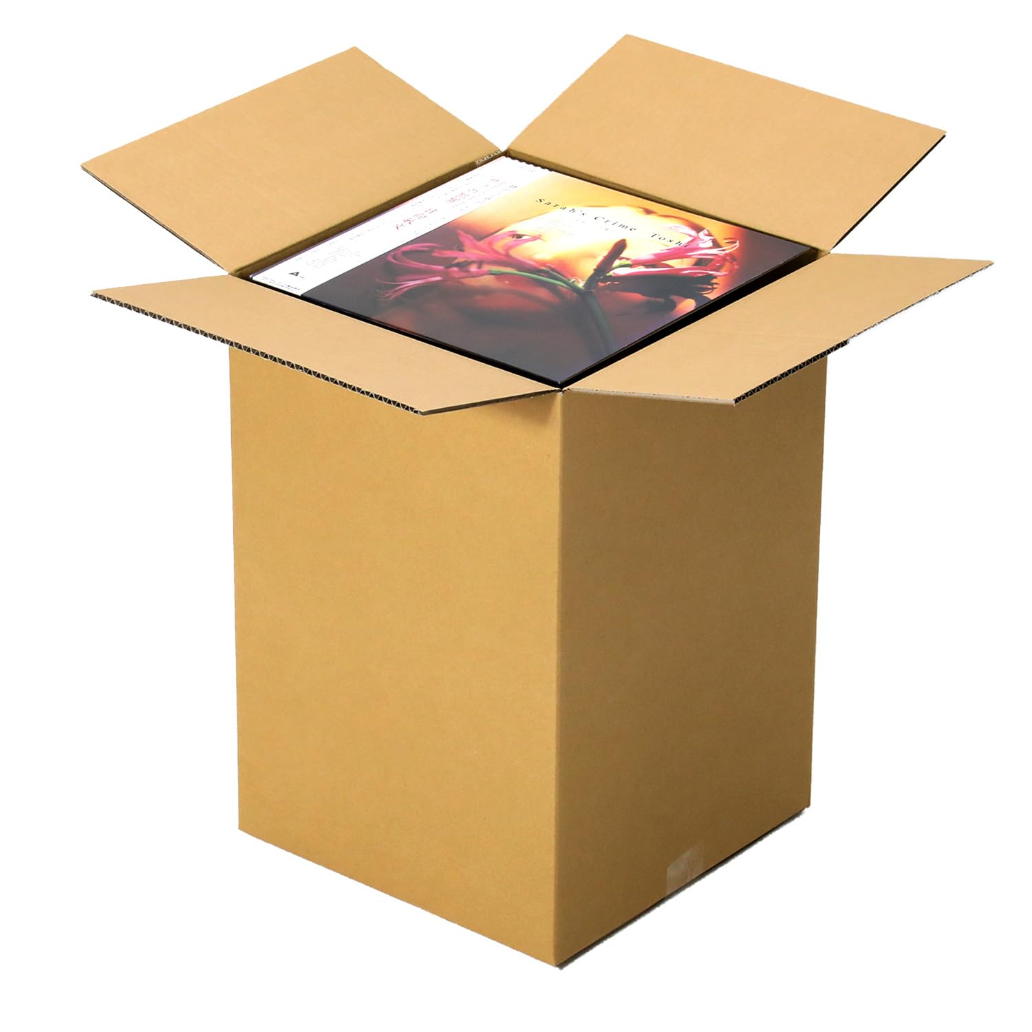 Amazon.co.jp: アースダンボール ダンボール 120サイズ 正方形 LP
